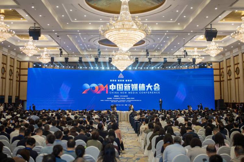 广告策划行业的前沿之光
